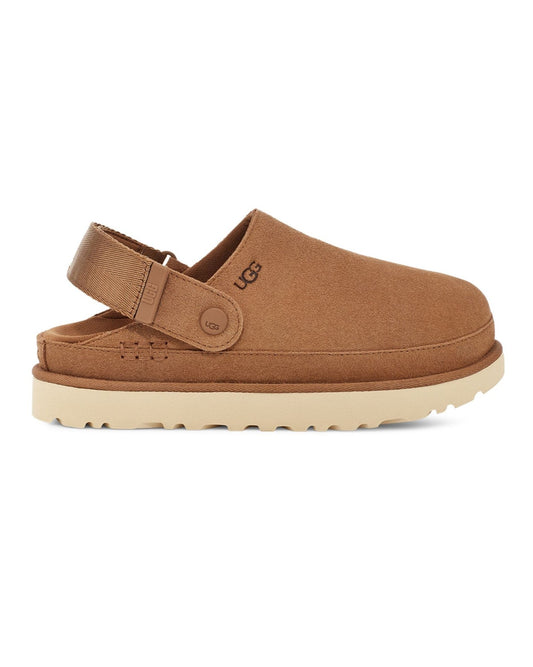 Goldenstar Clog