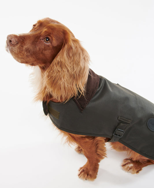 Waxed Dog Coat