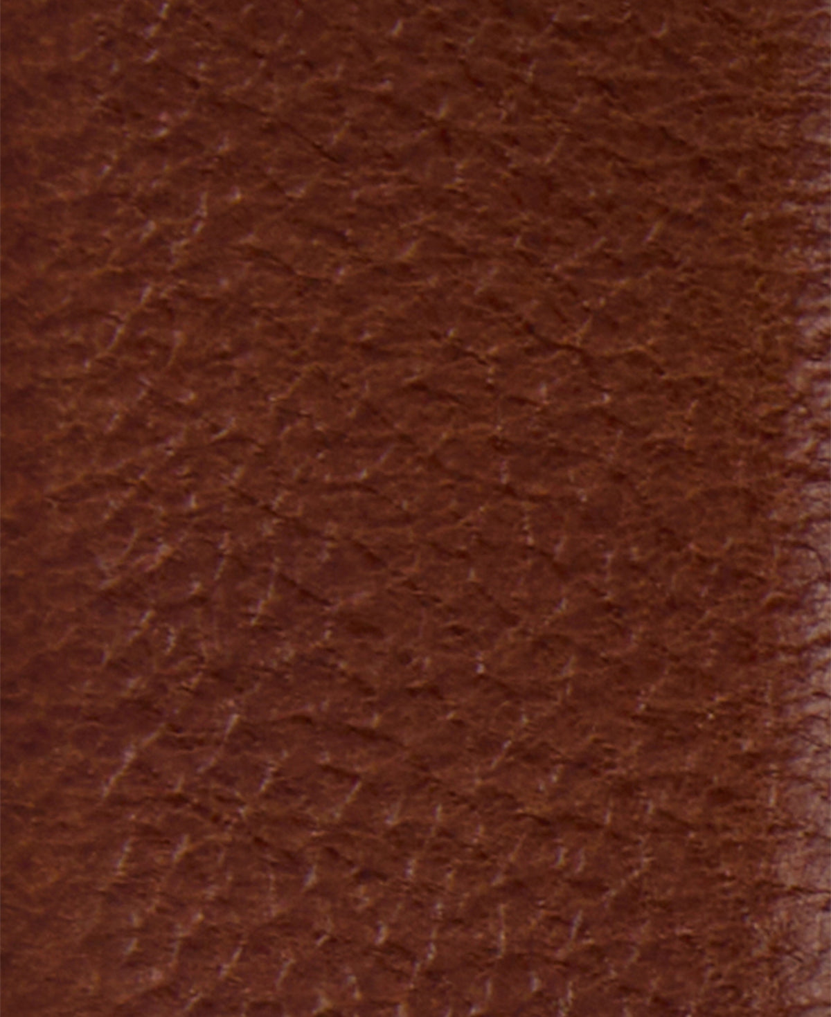 Clyde Leather Belt