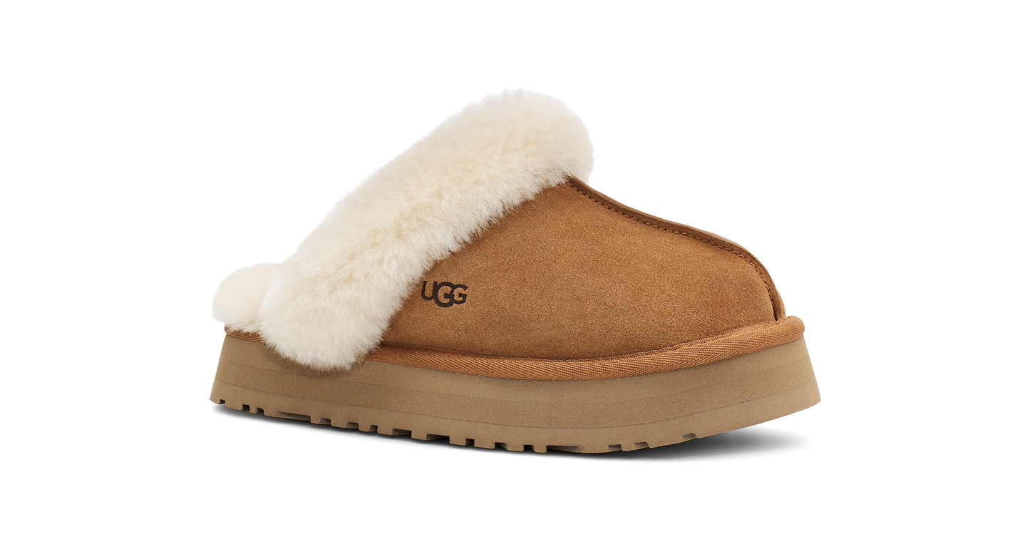 Disquette Slipper