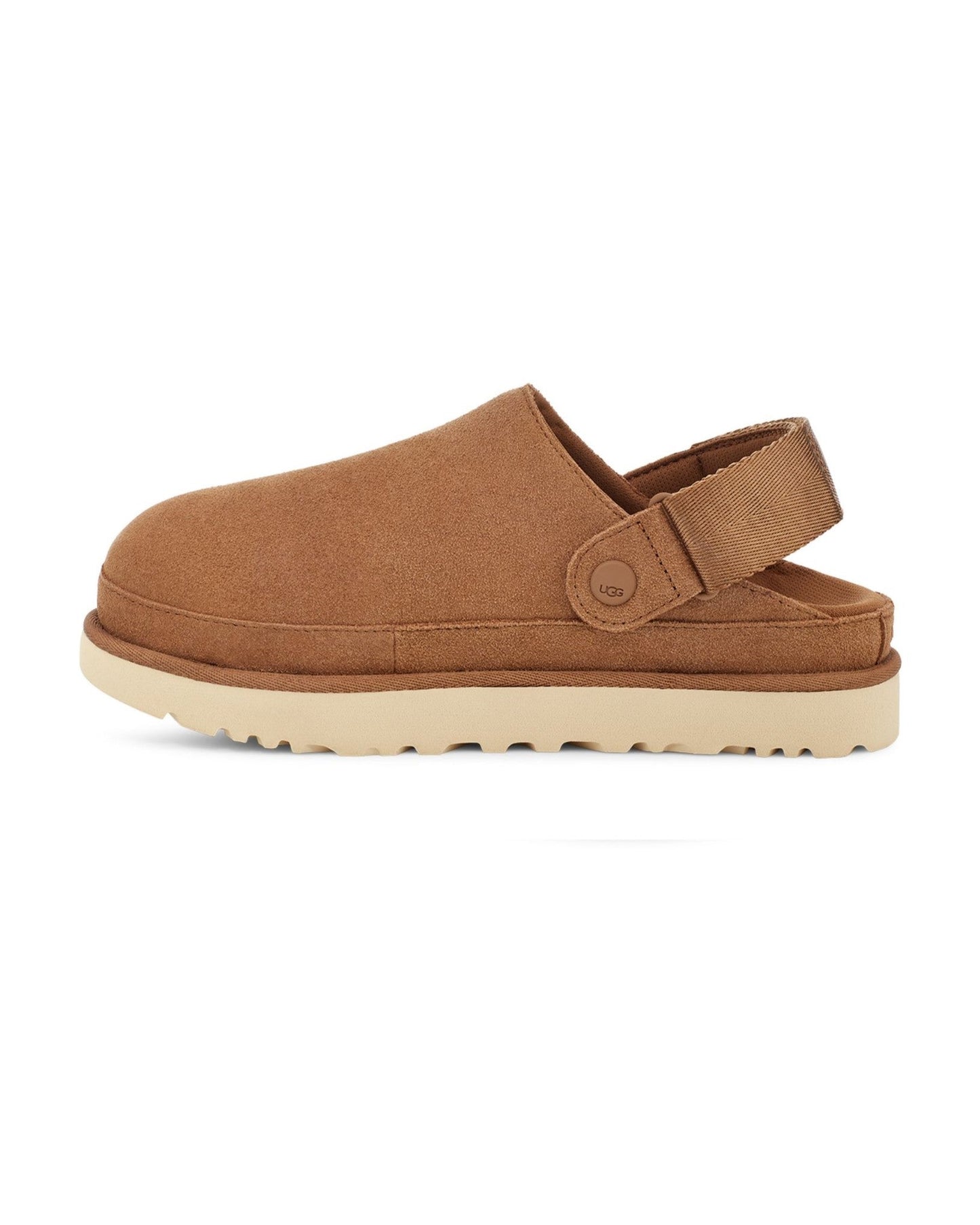 Goldenstar Clog