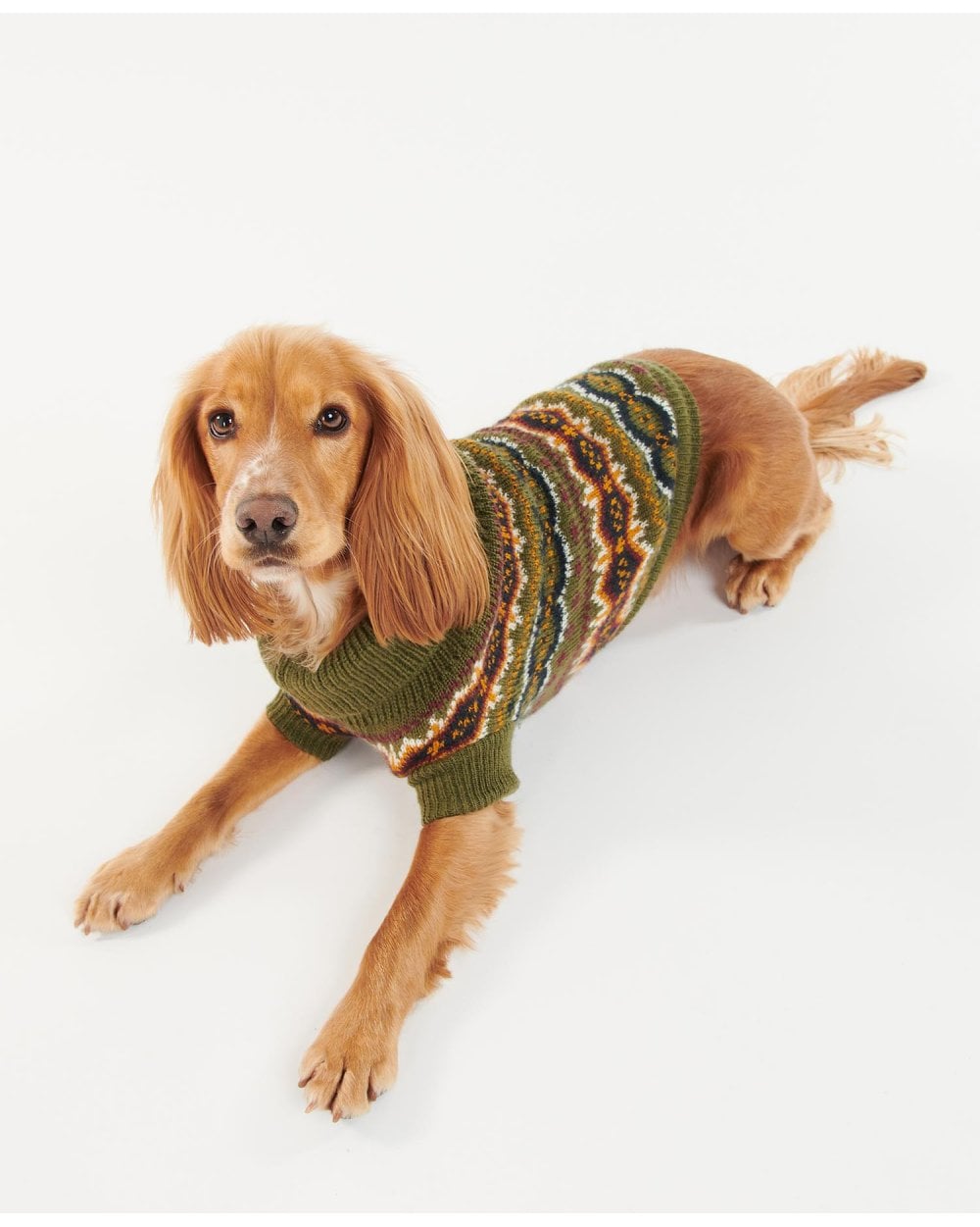 Case Fairisle Dog Jumper