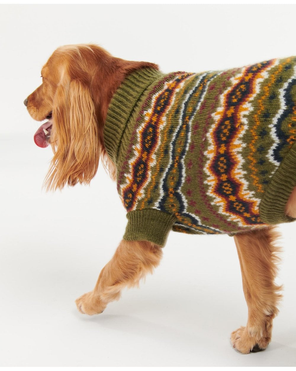Case Fairisle Dog Jumper