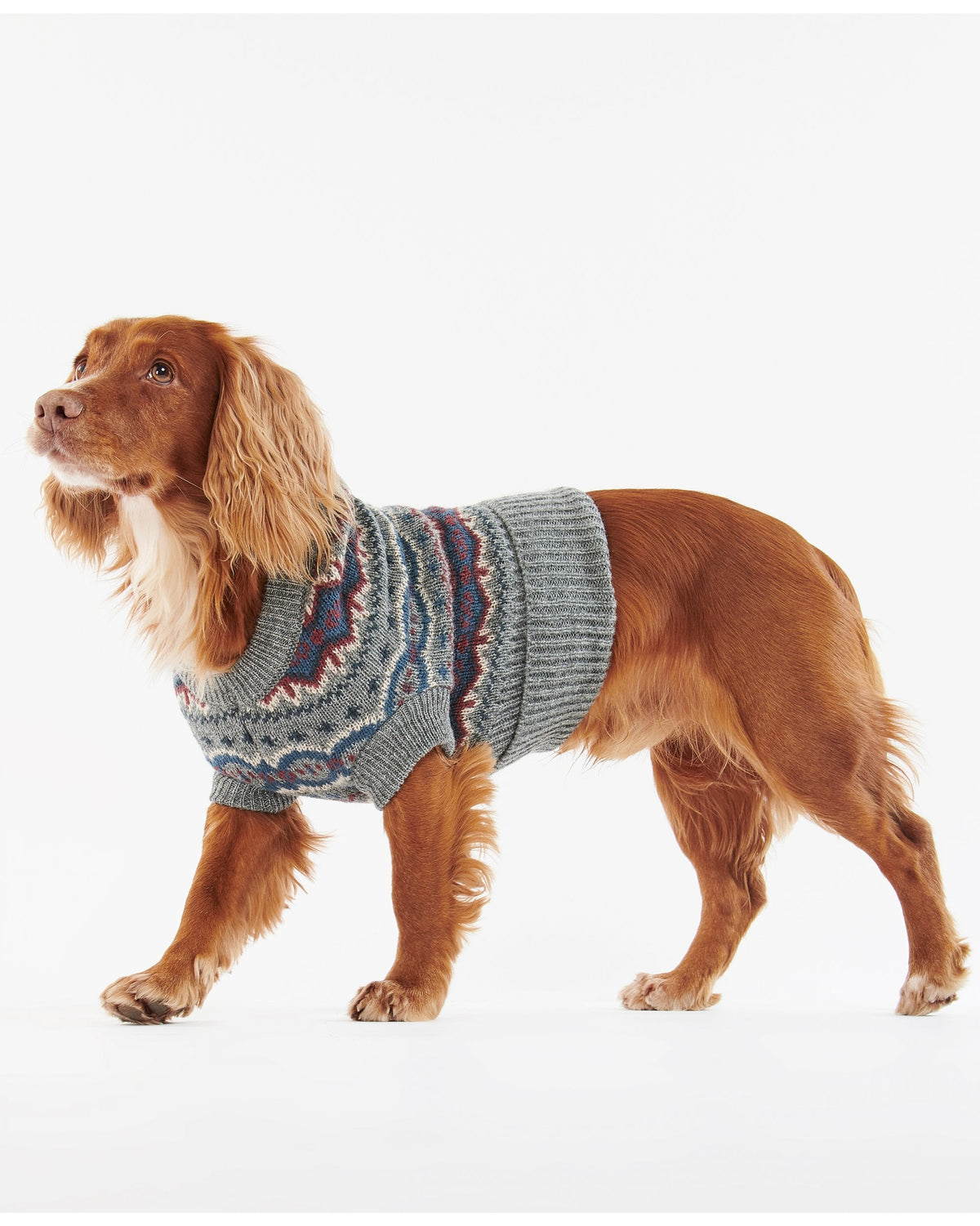 Case Fairisle Dog Jumper