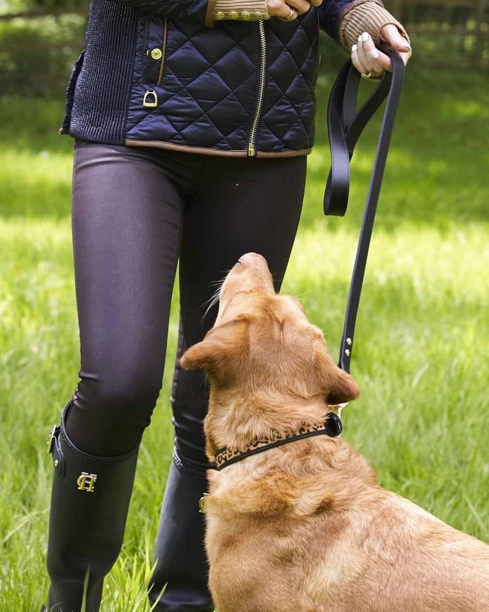 Classic Dog Lead Black