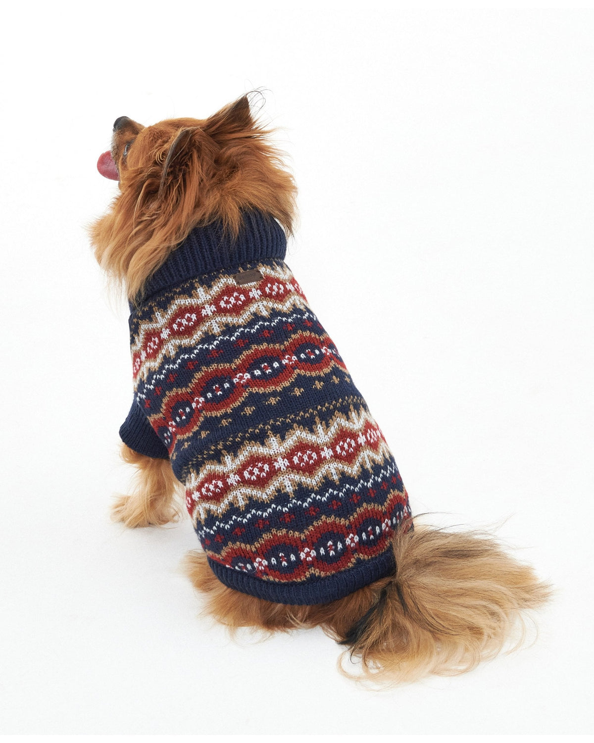 Case Fairisle Dog Jumper