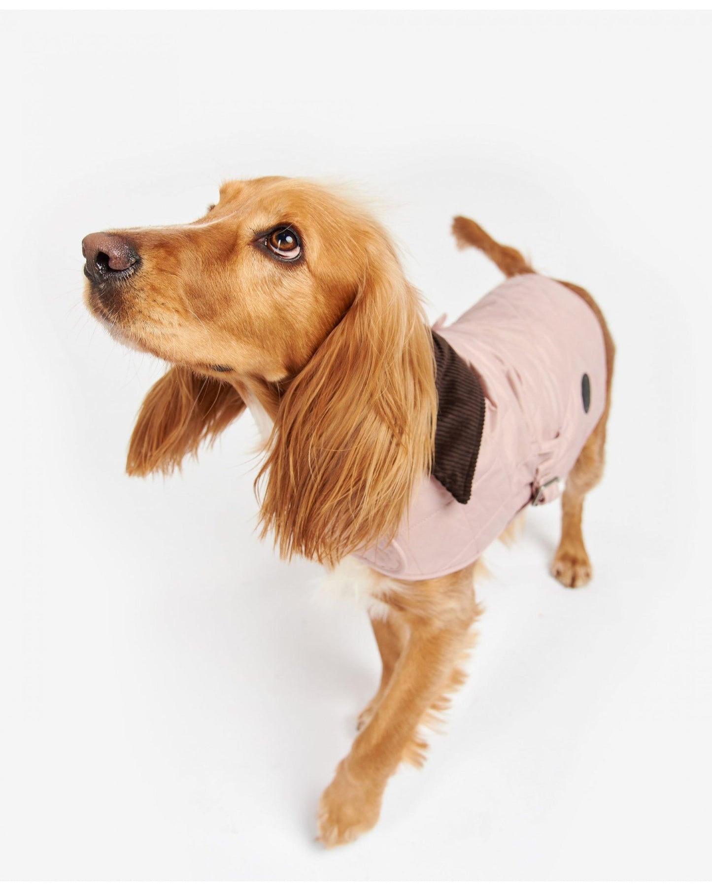 Barbour Quilted Dog Coat