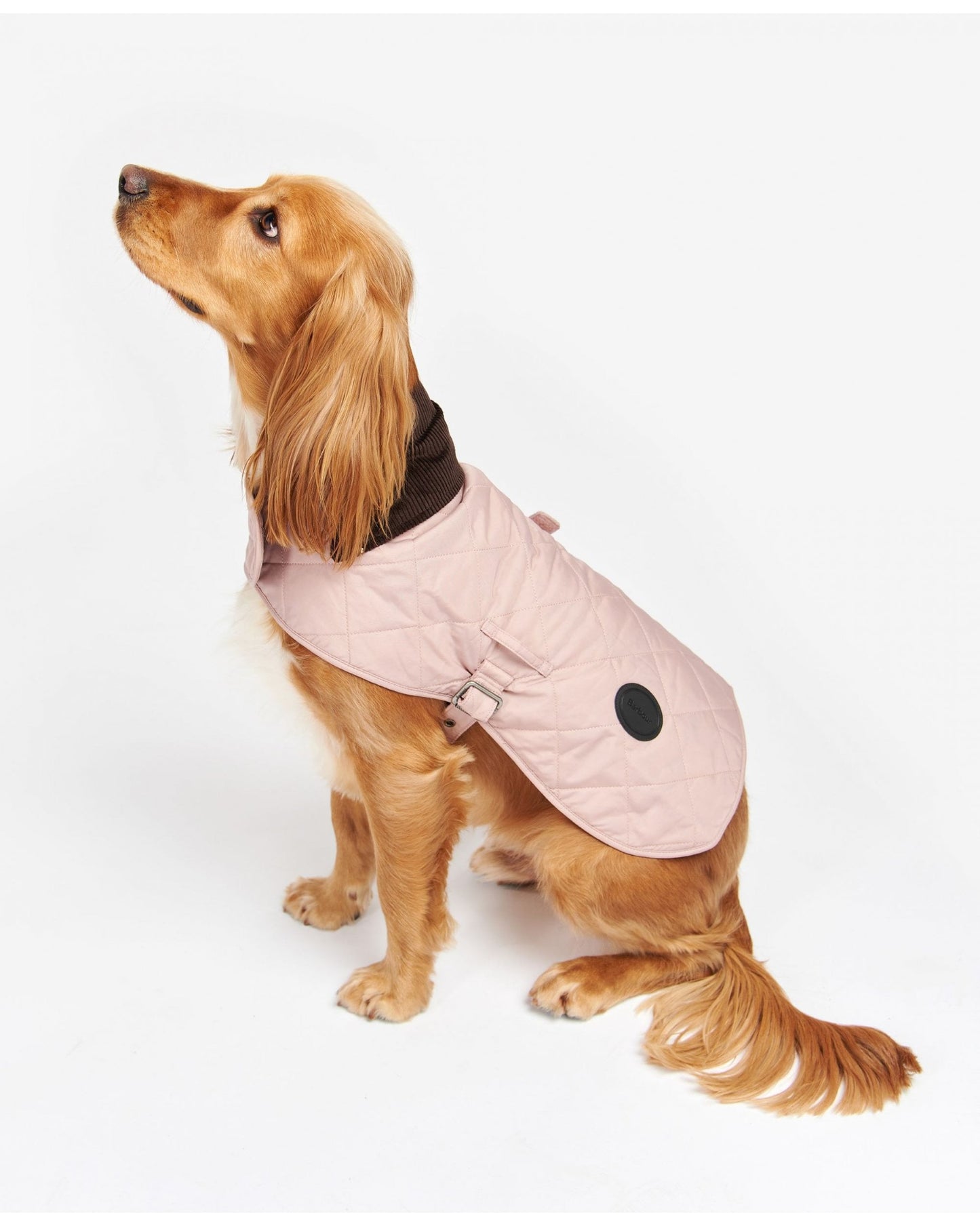 Barbour Quilted Dog Coat