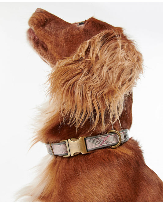 Reflective Tartan Dog Collar