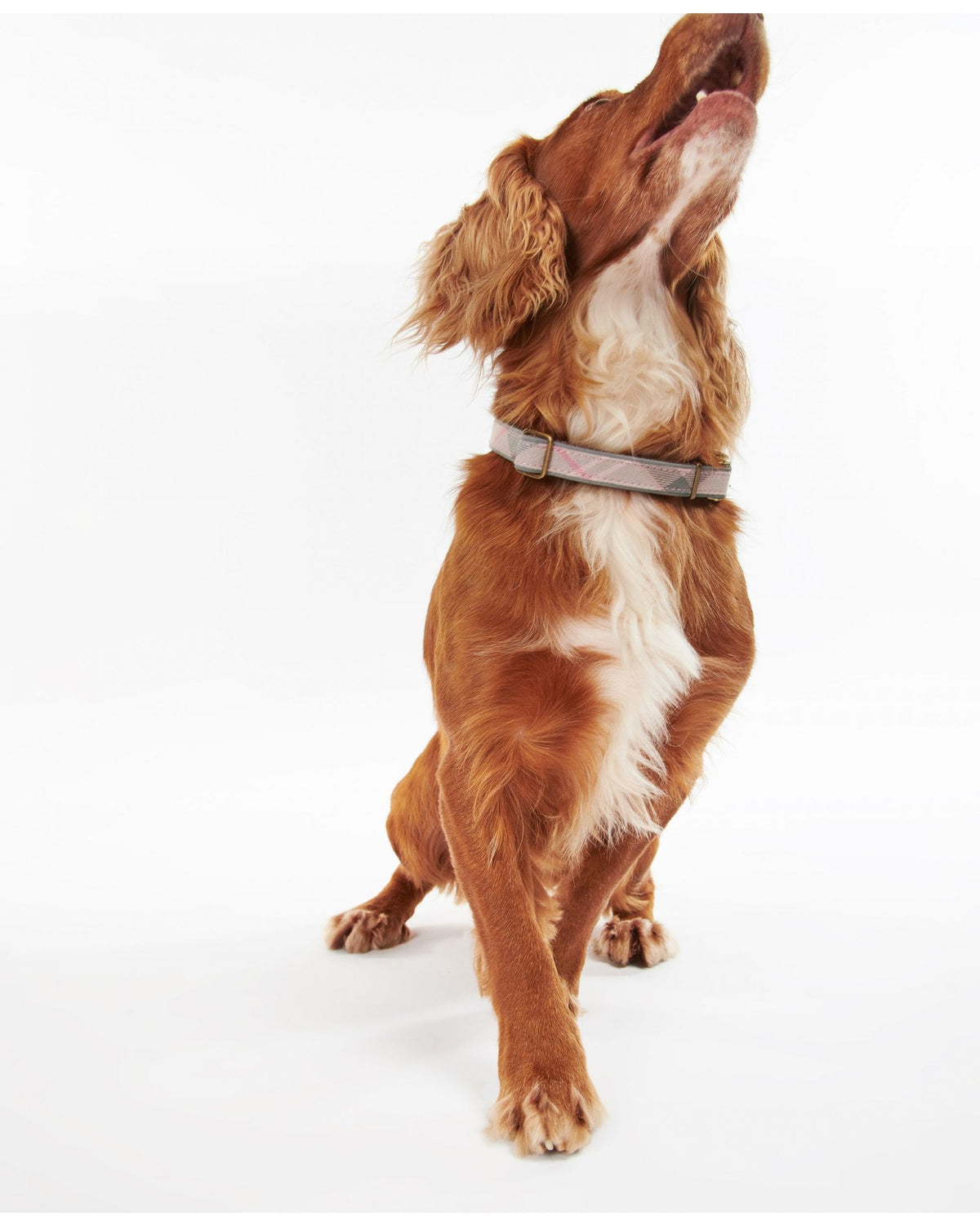 Reflective Tartan Dog Collar
