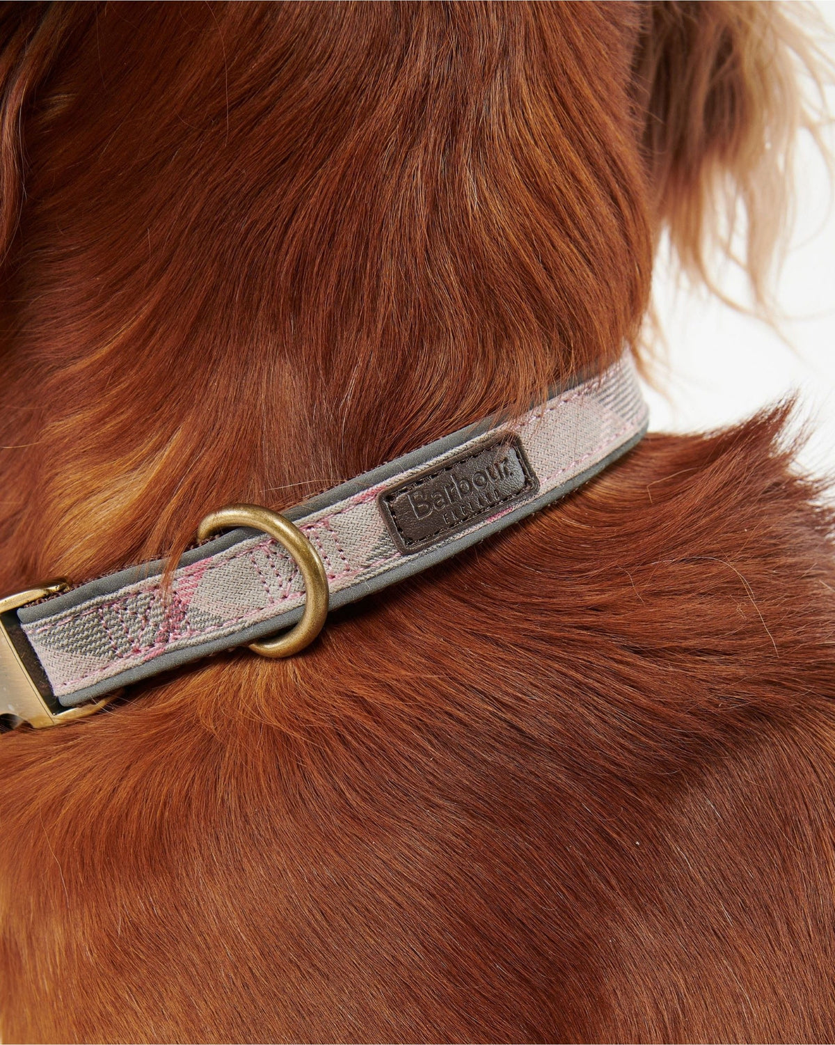 Reflective Tartan Dog Collar