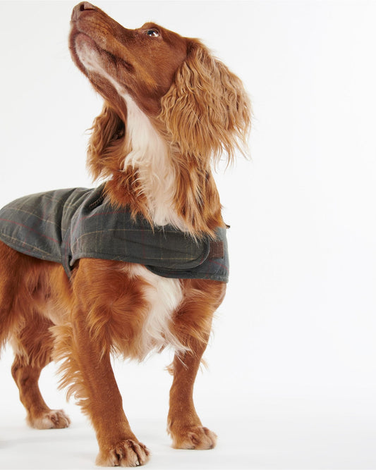 Tartan Wax Dog Coat