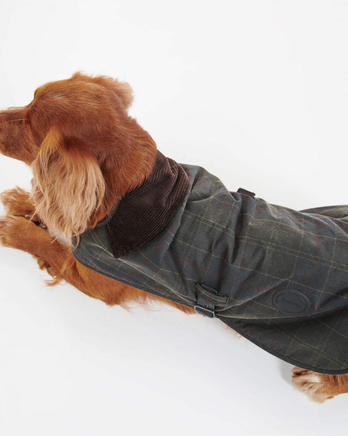 Tartan Wax Dog Coat