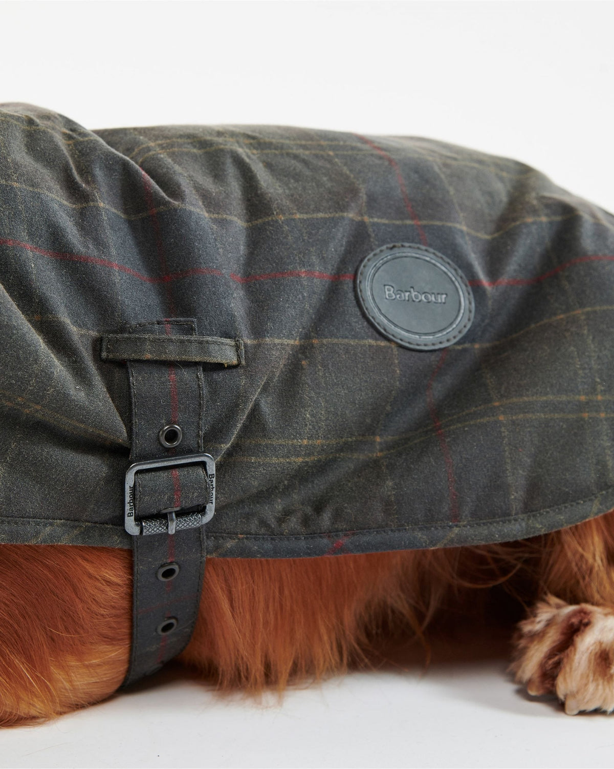 Tartan Wax Dog Coat