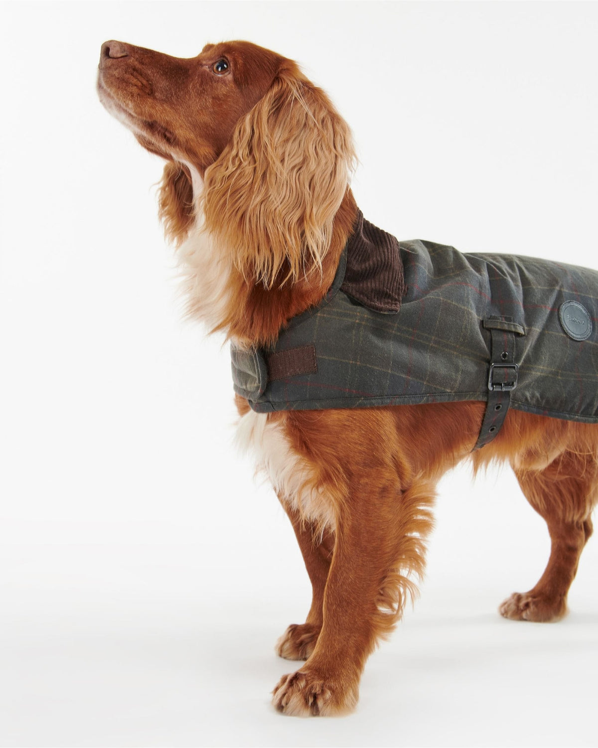 Tartan Wax Dog Coat