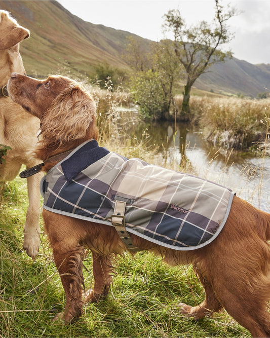 Wetherham Tartan Dog Coat