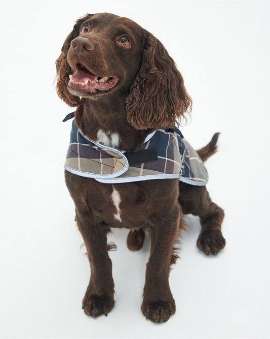 Wetherham Tartan Dog Coat