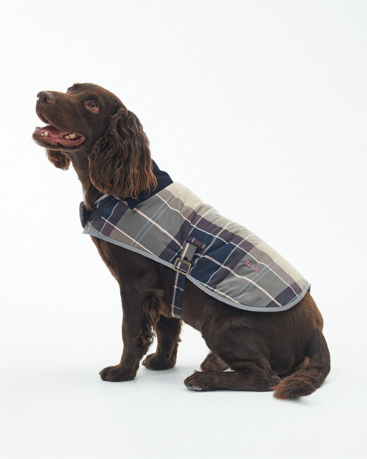 Wetherham Tartan Dog Coat