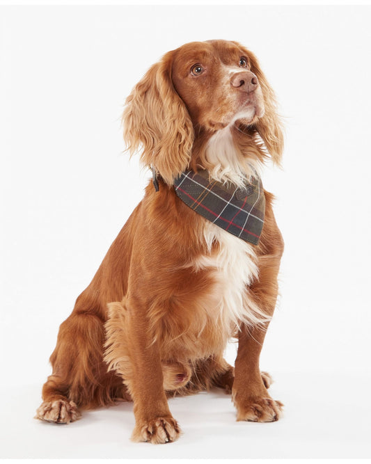 Barbour Tartan Dog Bandana