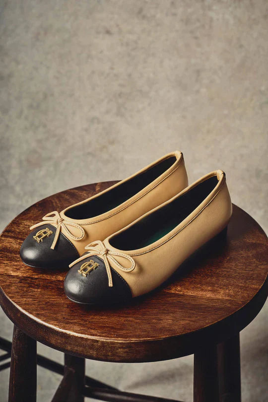 Ballet Shoe