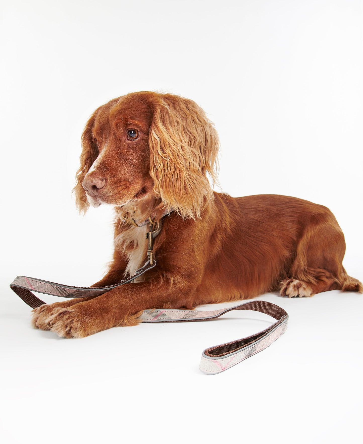 Barbour Reflective Tartan Dog Lead