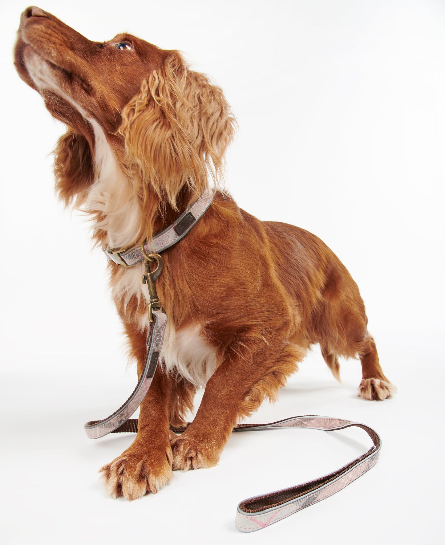Barbour Reflective Tartan Dog Lead