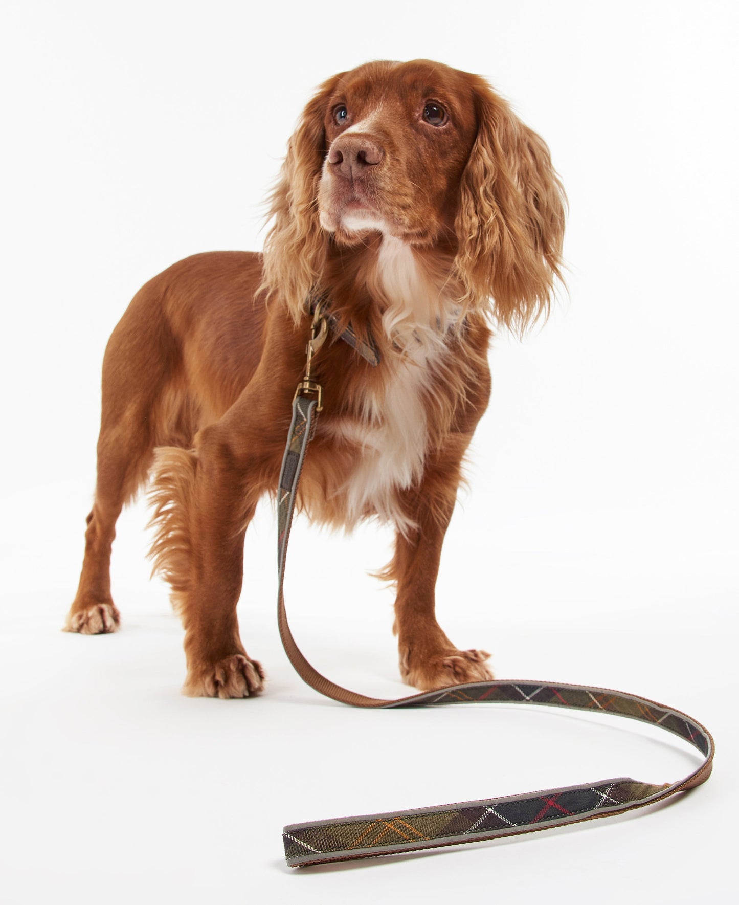 Barbour Reflective Tartan Dog Lead