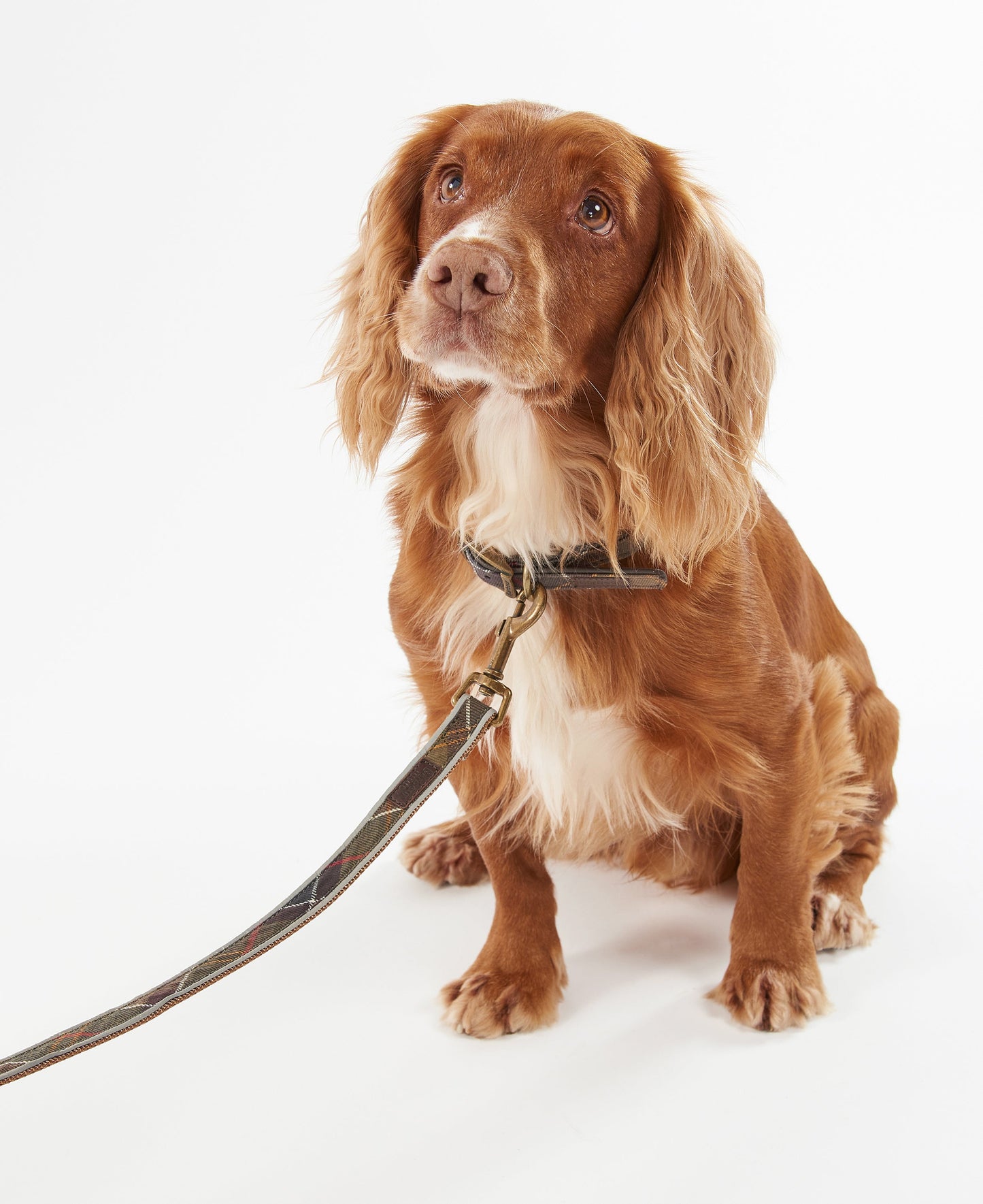 Barbour Reflective Tartan Dog Lead