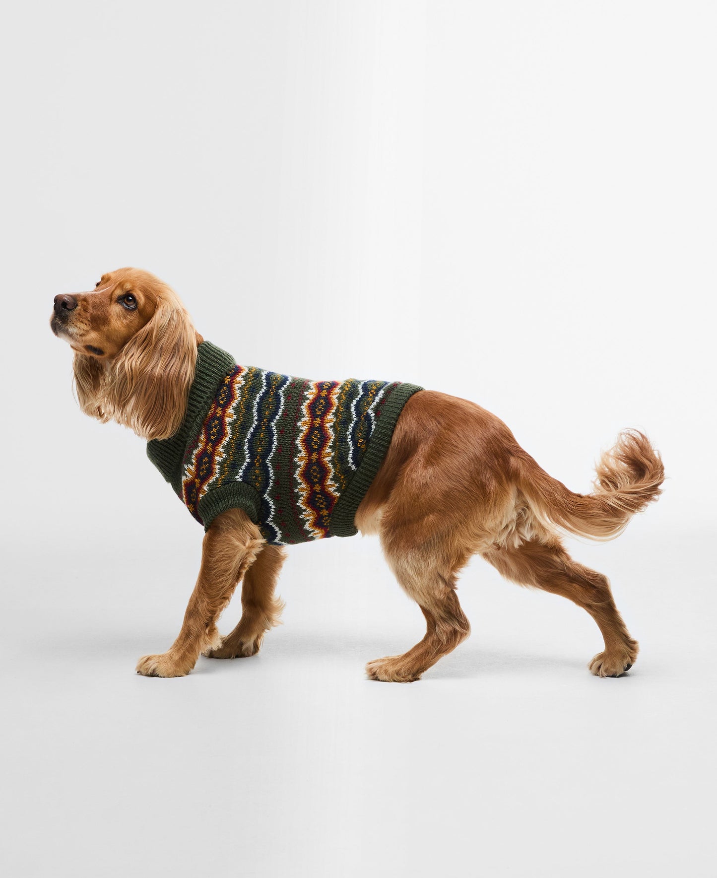 Fair Isle Dog Gift Set