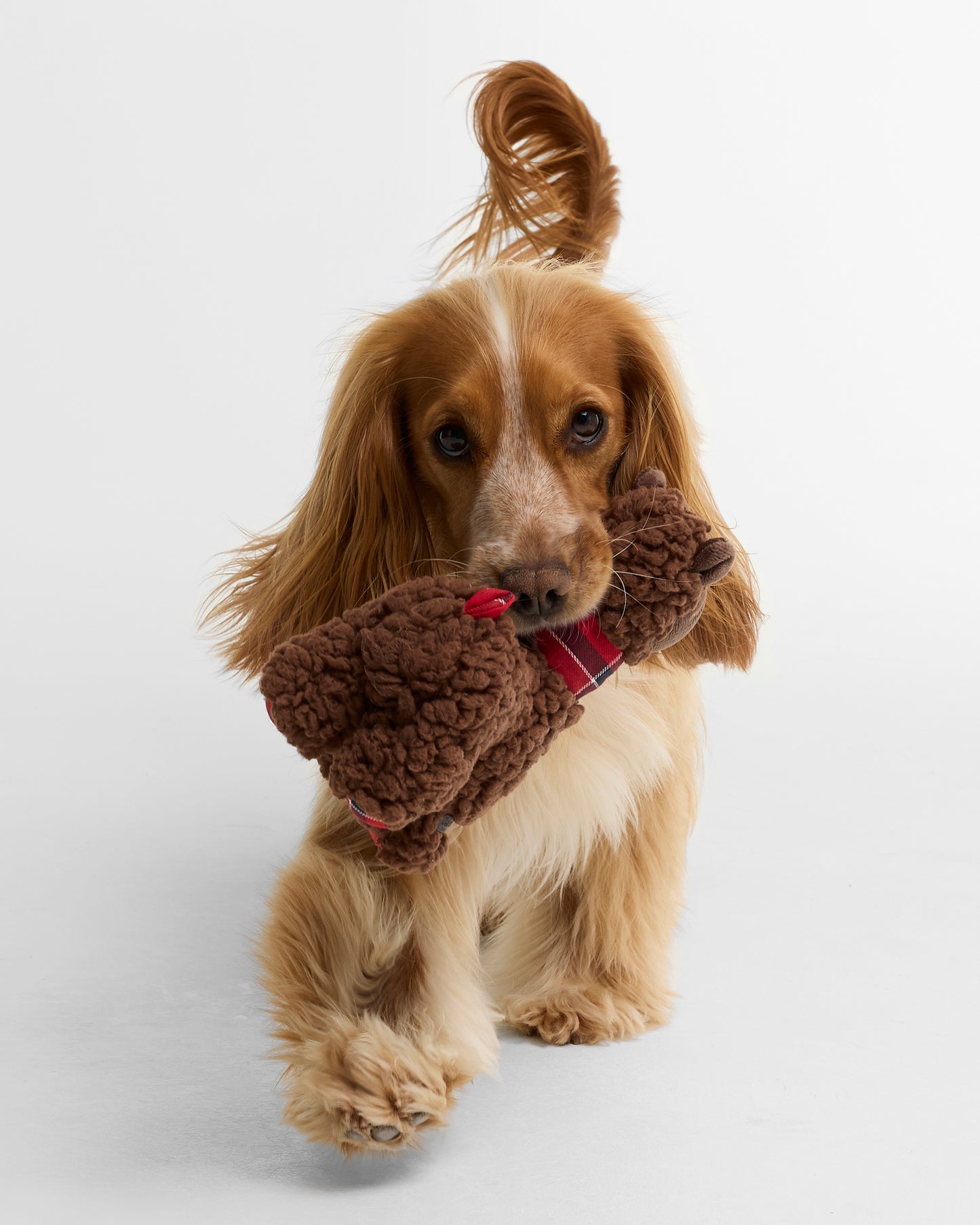 Llama Dog Toy