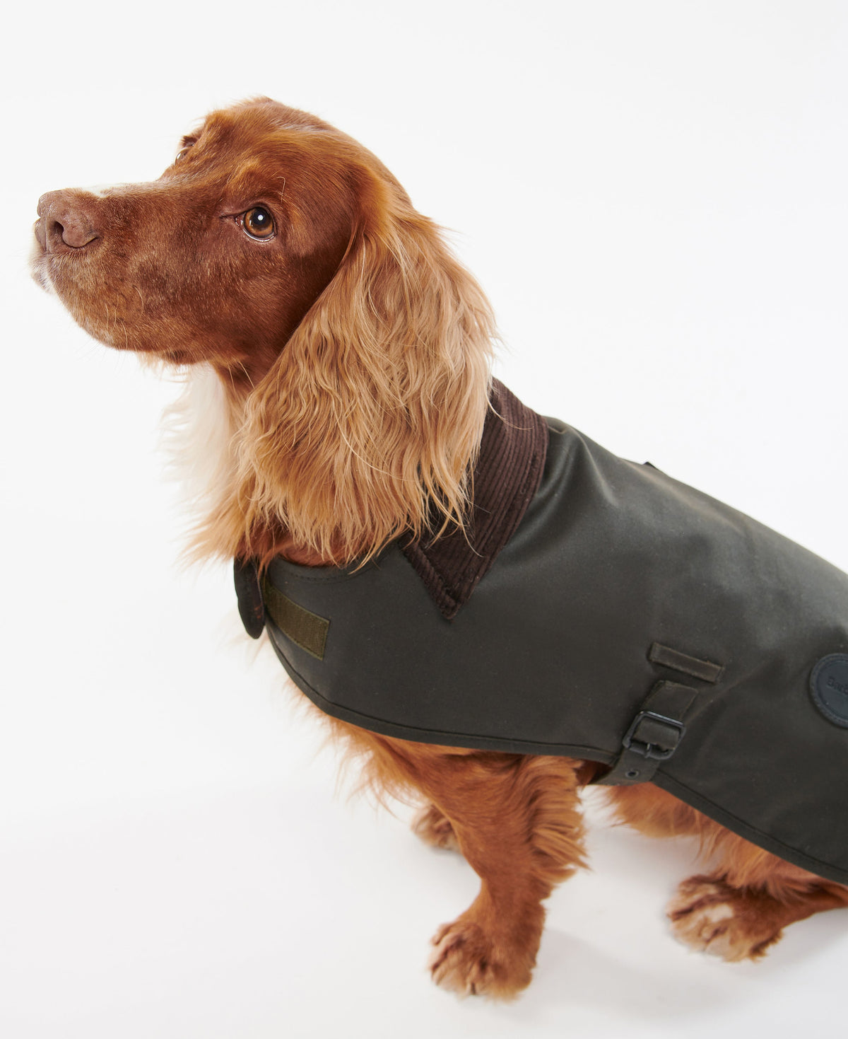 Waxed Dog Coat