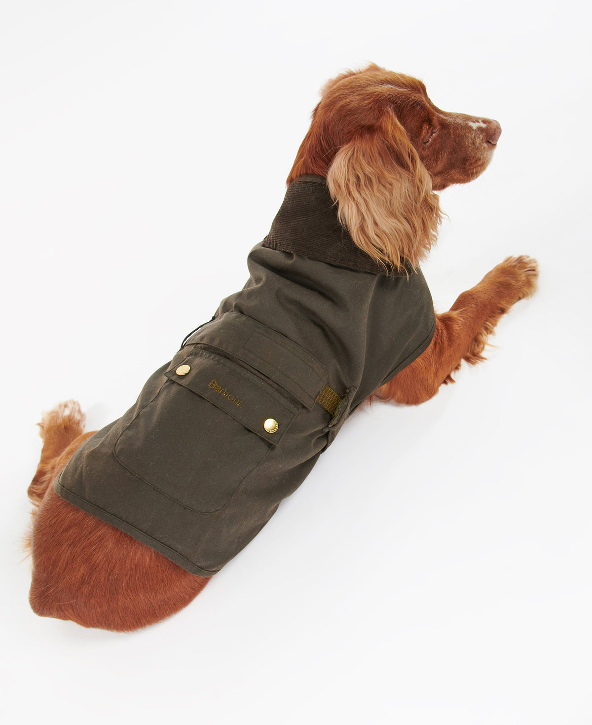 2 in 1 Wax Dog Coat