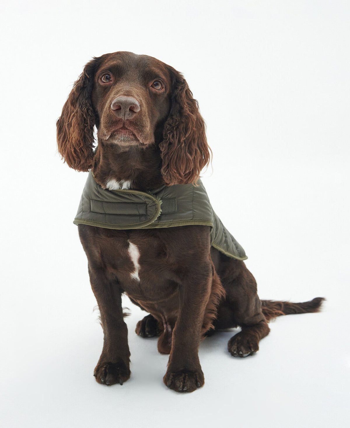 Baffle Quilted Dog Coat