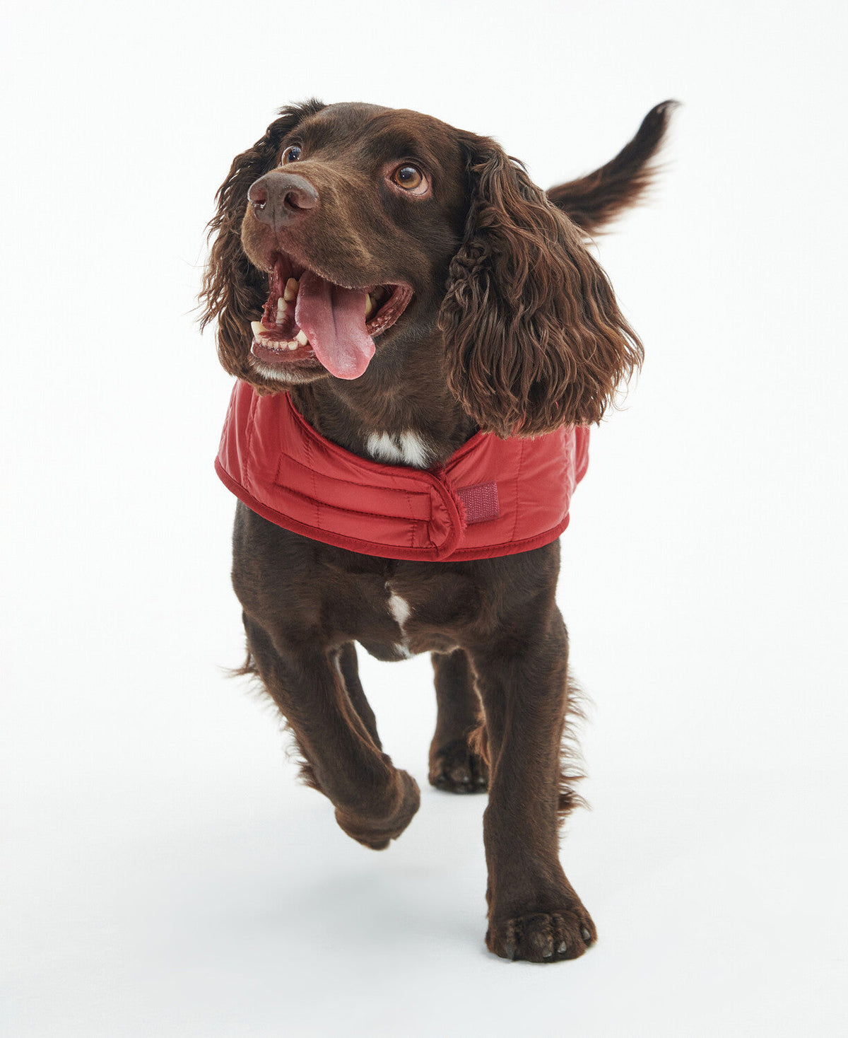 Baffle Quilted Dog Coat