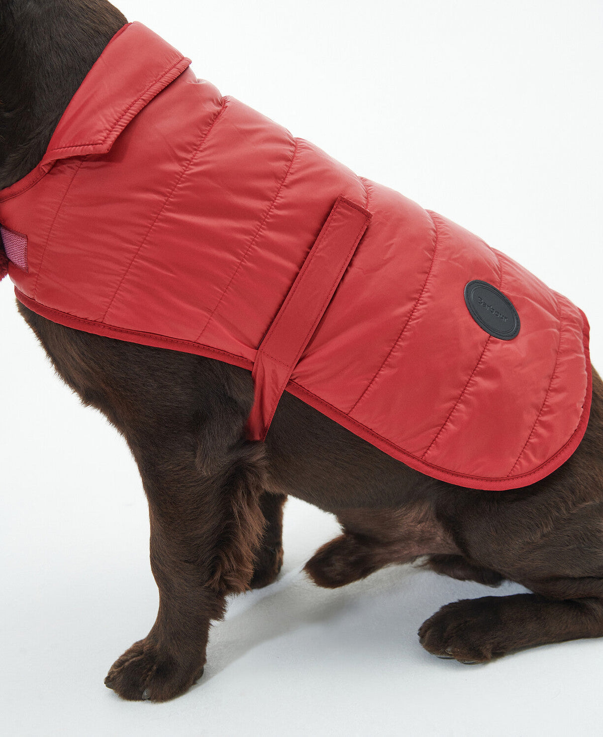 Baffle Quilted Dog Coat
