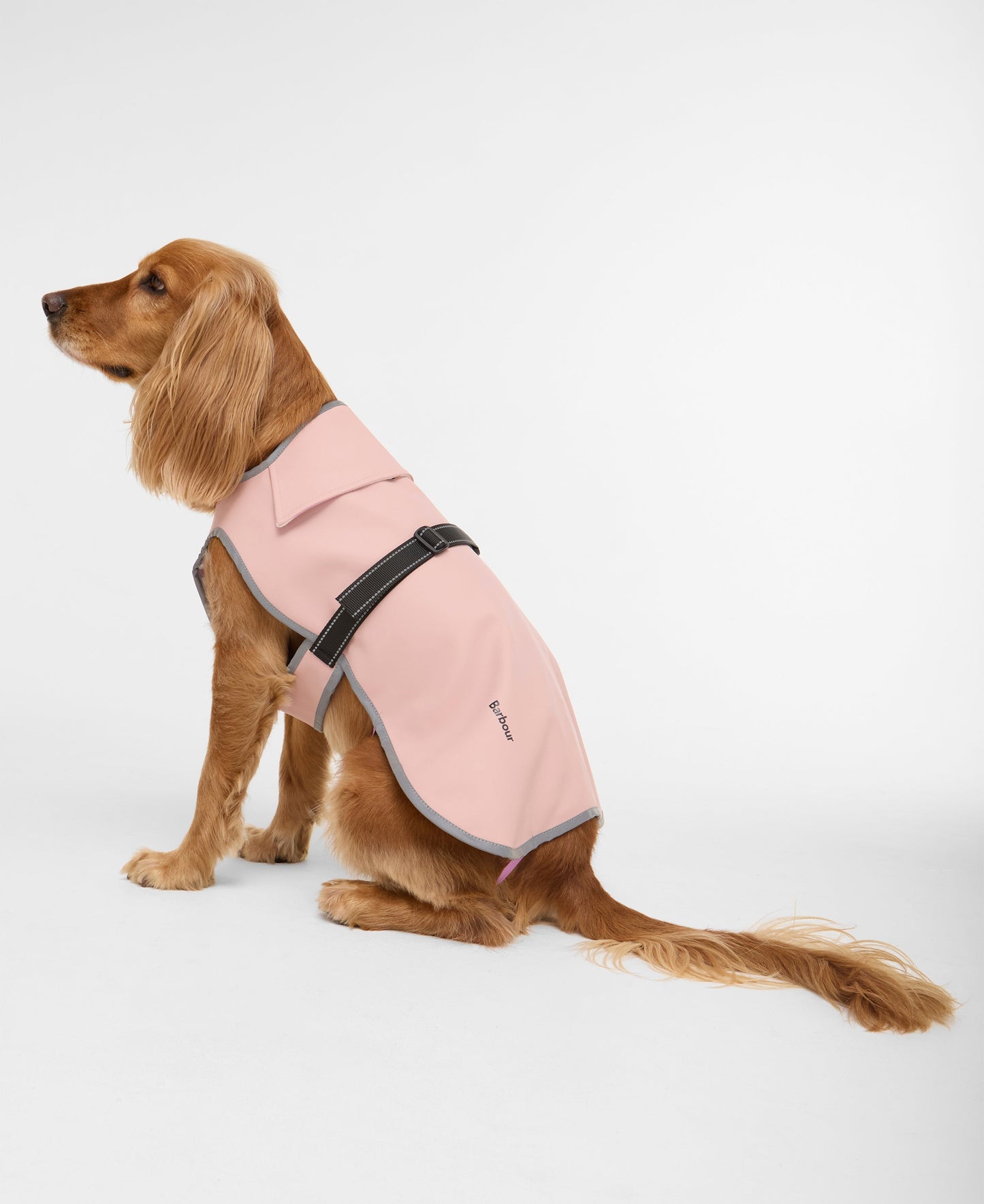 Evie Dog Coat