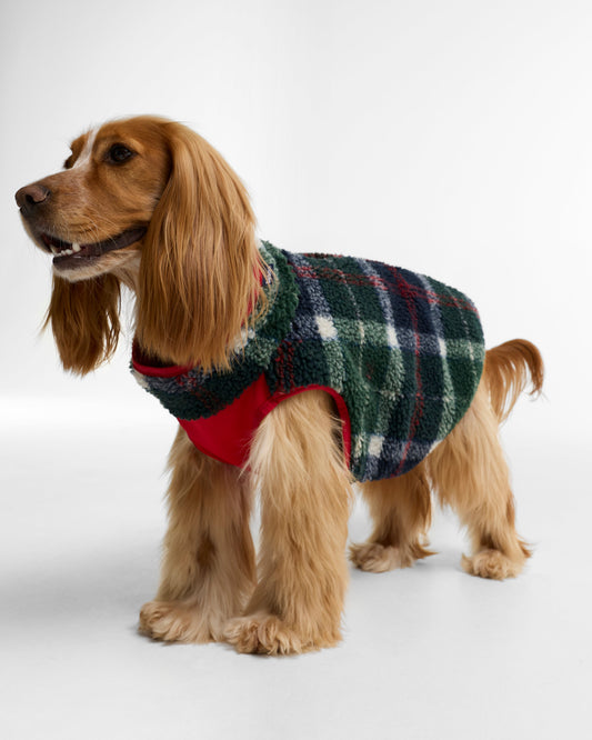 Field Reversible Dog Coat