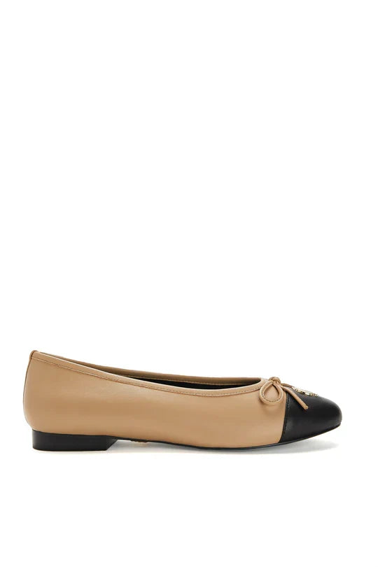 Ballet Shoe
