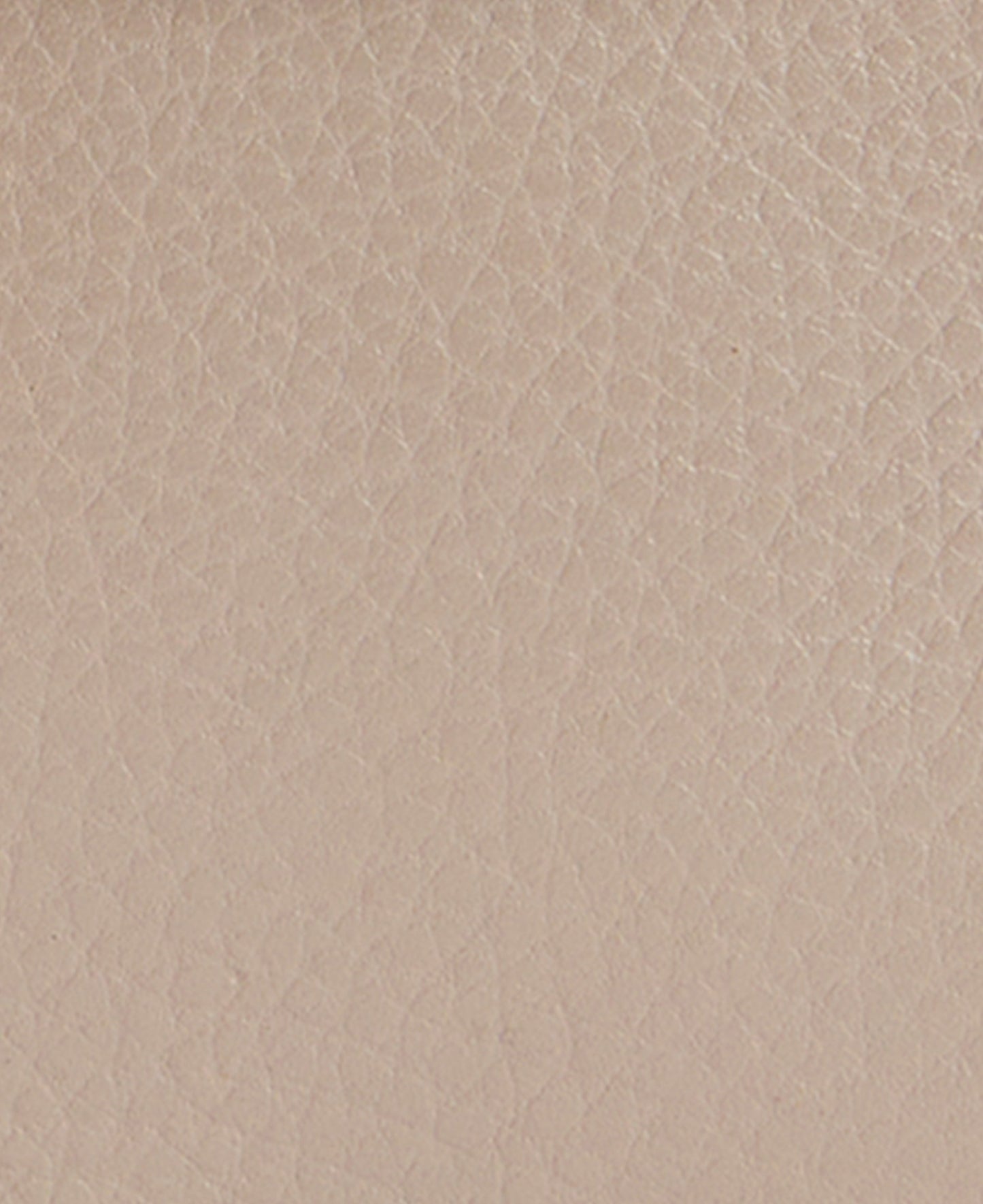 Mini Rosa Leather Crossbody Bag - Pebbled Pink/Brown