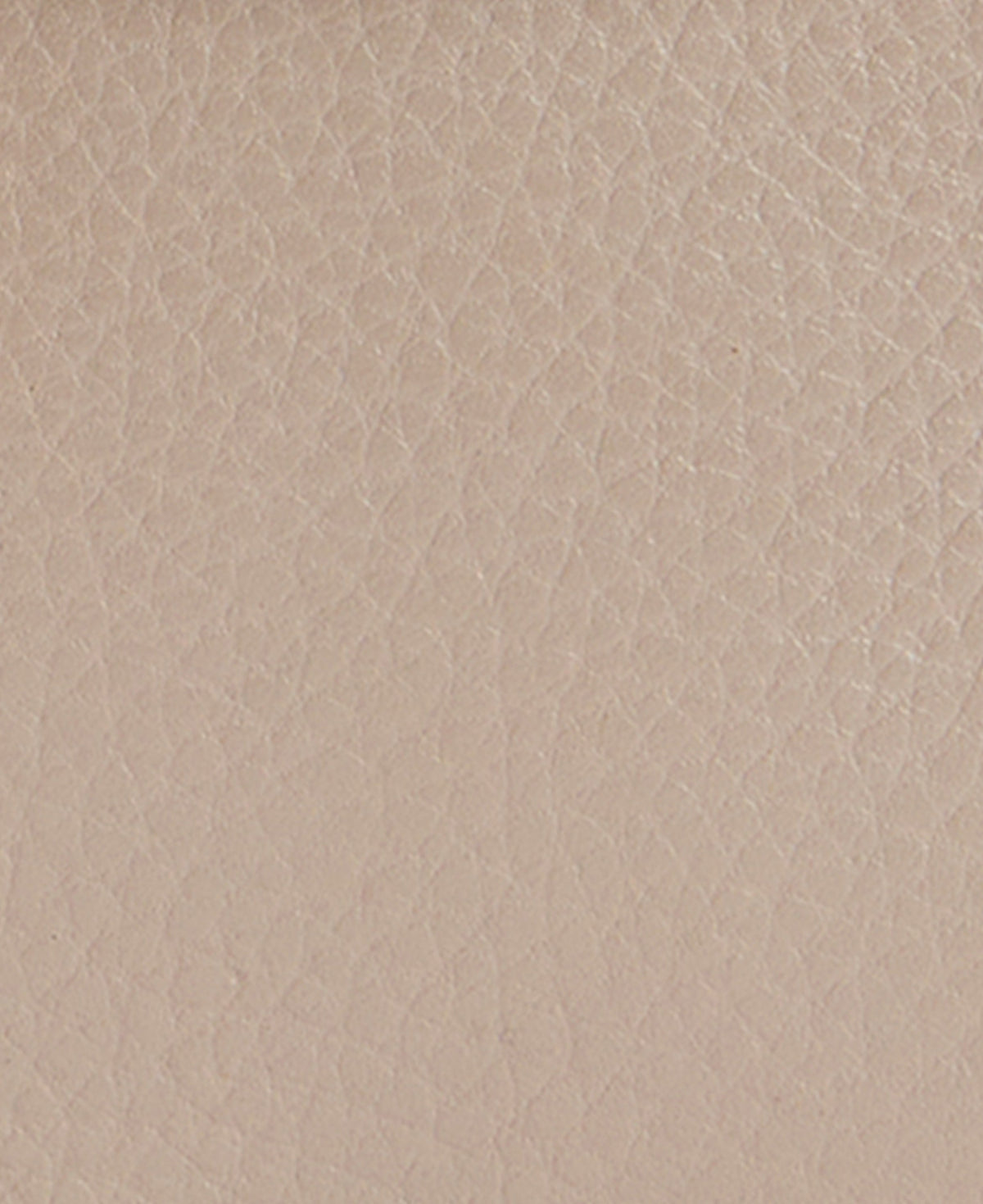 Mini Rosa Leather Crossbody Bag - Pebbled Pink/Brown