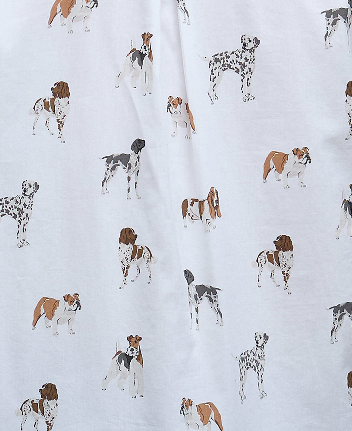 Ladies Safari Shirt