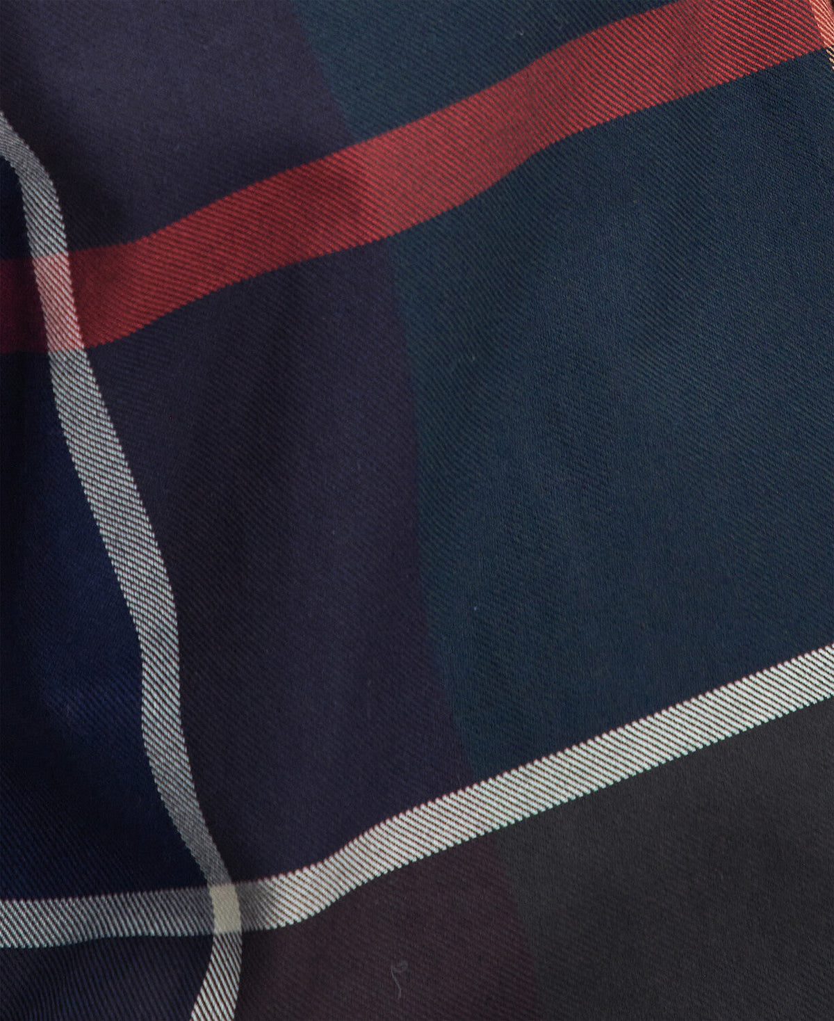 Bearpark Regular Fit Shirt
