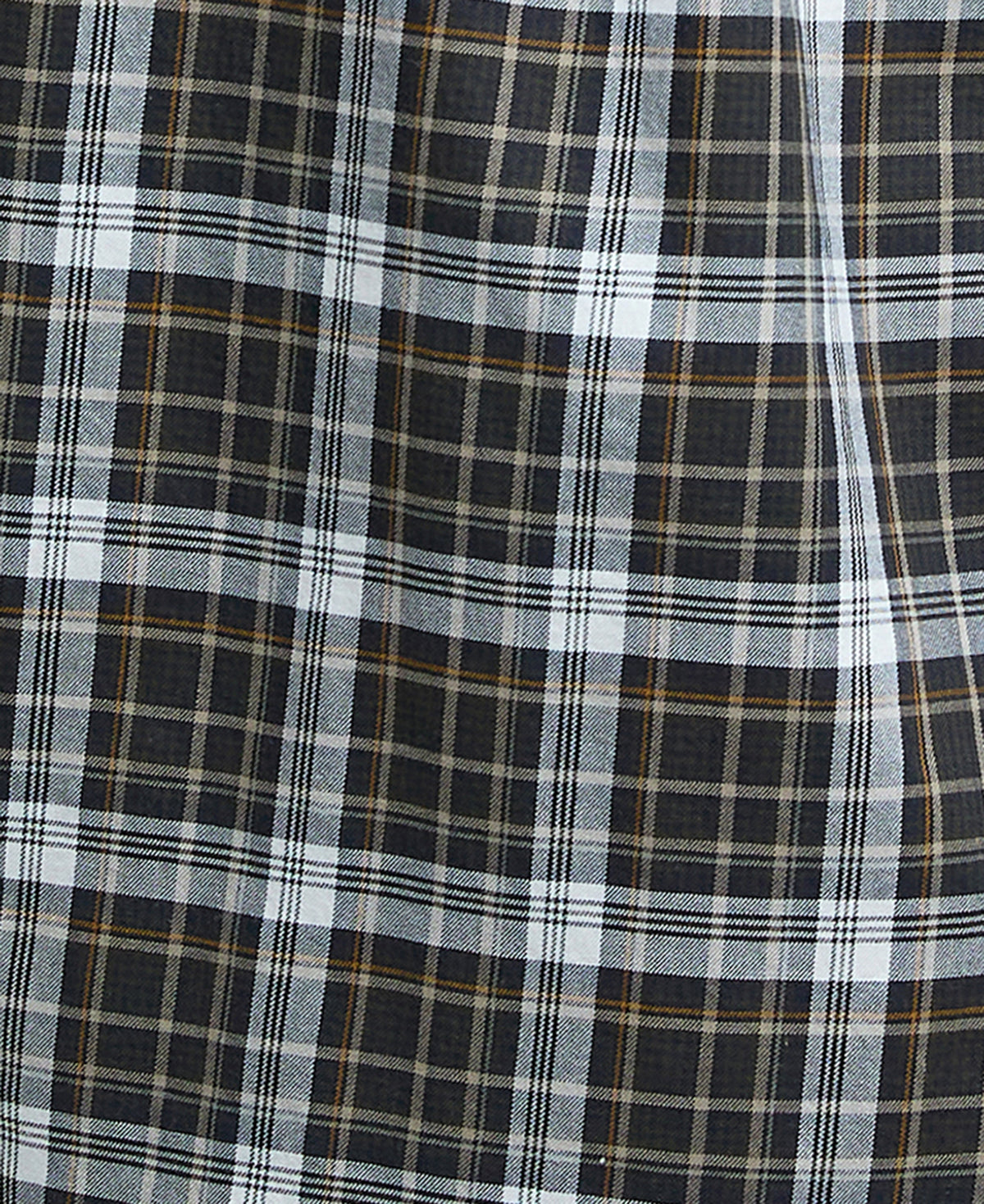 Mosswood Tailored Checked Shirt