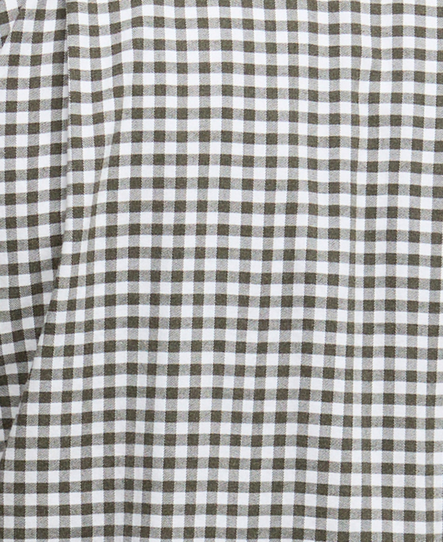 Gingham Aukside Regular Shirt