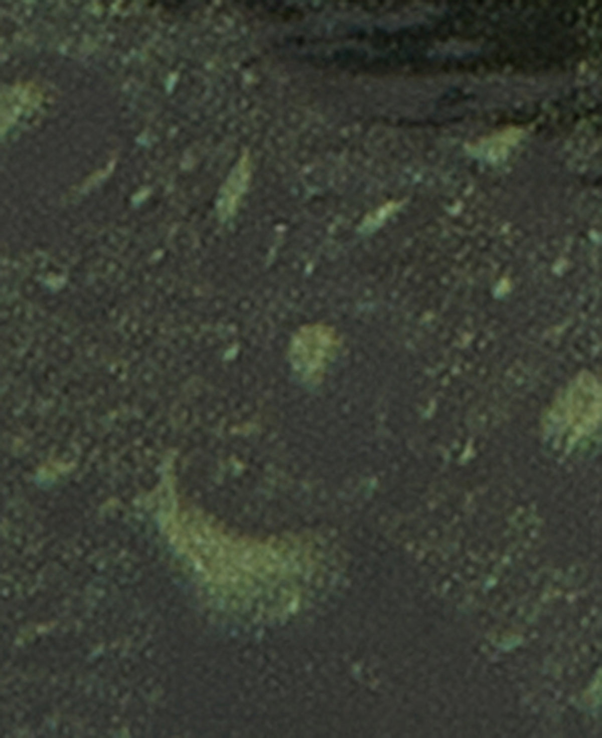 Thornproof Dressing