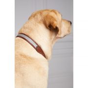 HC Classic Dog Collar - Chestnut & Tweed