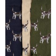 Pointer Dog Socks Gift Box