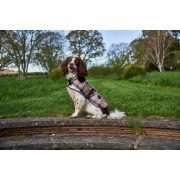 Tartan Dog Coat