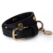 HC Studded Dog Collar - Black