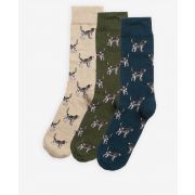 Pointer Dog Socks Gift Box